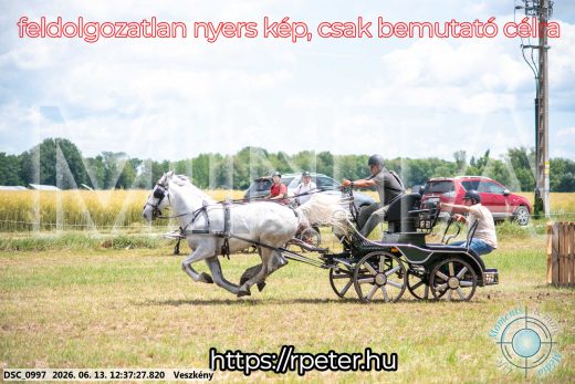 Mintakép 20260613-1359