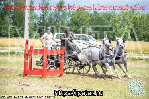 Mintakép 20260613-1360