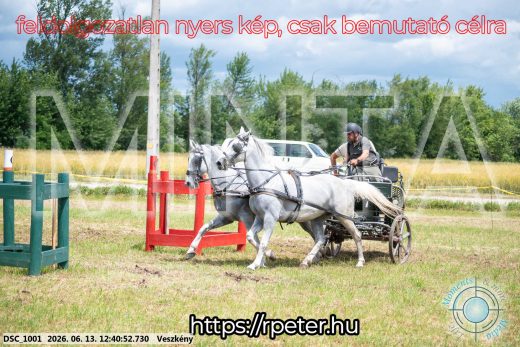 Mintakép 20260613-1361