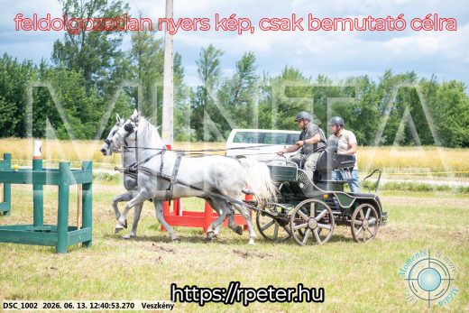 Mintakép 20260613-1362