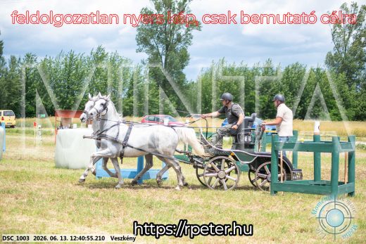 Mintakép 20260613-1363