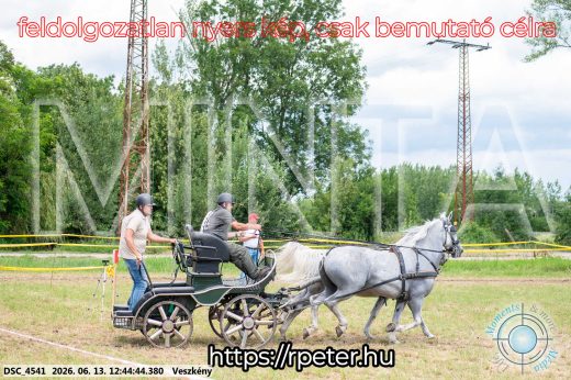 Mintakép 20260613-1364