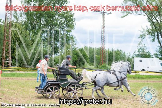 Mintakép 20260613-1365