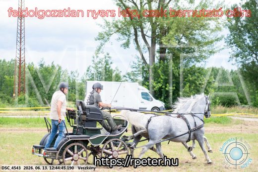 Mintakép 20260613-1366