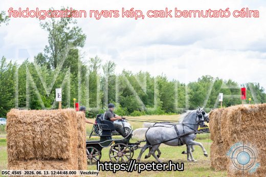 Mintakép 20260613-1368