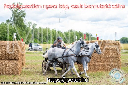 Mintakép 20260613-1370