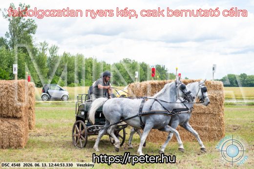 Mintakép 20260613-1371