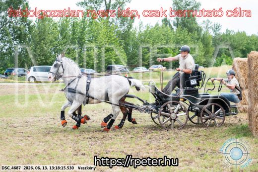 Mintakép 20260613-80