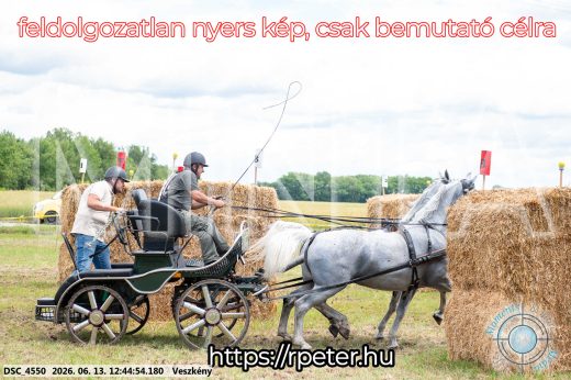 Mintakép 20260613-1373