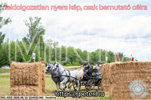 Mintakép 20260613-1375