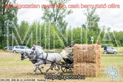 Mintakép 20260613-1376