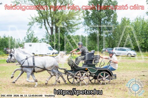Mintakép 20260613-1378