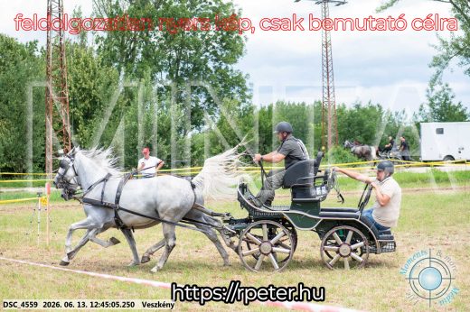 Mintakép 20260613-1379