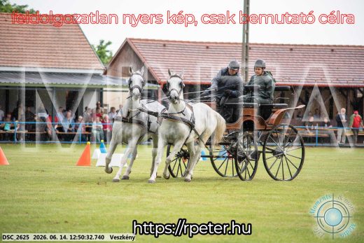 Mintakép 20260614-591