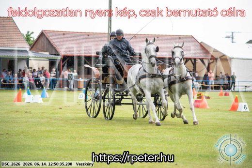 Mintakép 20260614-592