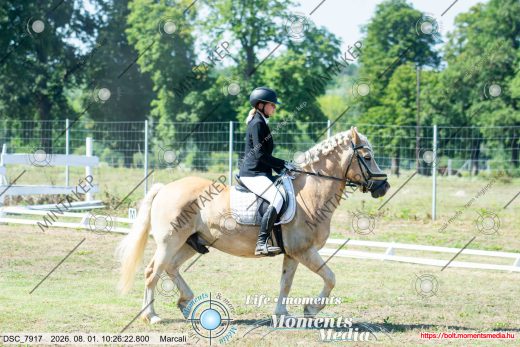 Mintakép 20260801-1039