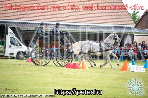 Mintakép 20260614-597