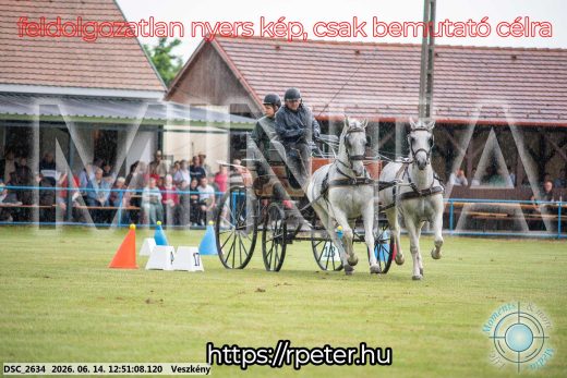 Mintakép 20260614-598