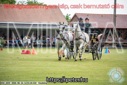 Mintakép 20260614-599