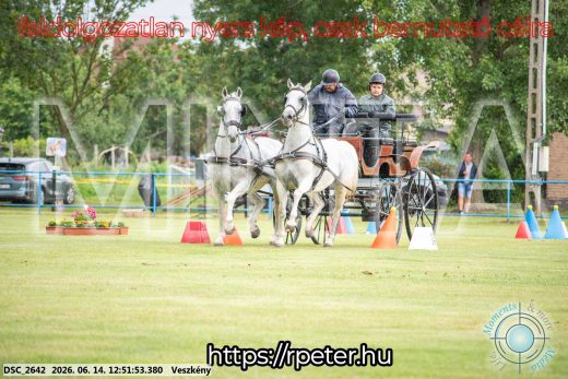 Mintakép 20260614-602