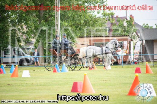 Mintakép 20260614-604