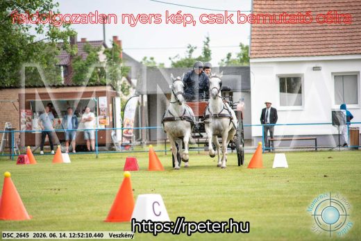 Mintakép 20260614-605
