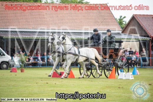 Mintakép 20260614-608