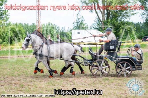 Mintakép 20260613-83