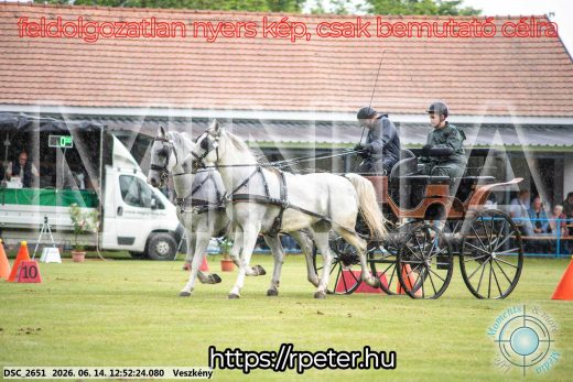 Mintakép 20260614-610