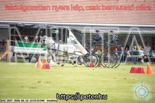 Mintakép 20260614-613