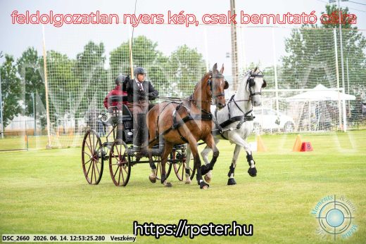 Mintakép 20260614-615