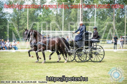 Mintakép 20260612-723