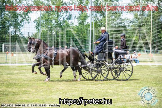 Mintakép 20260612-725