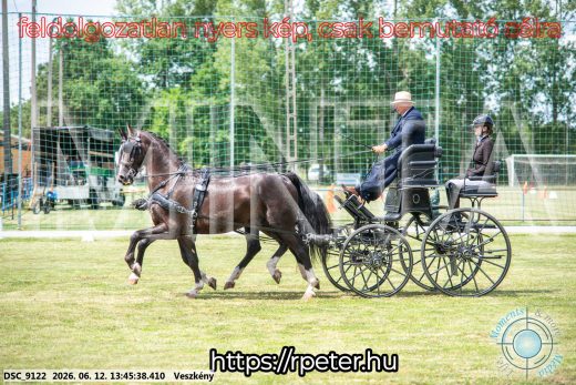 Mintakép 20260612-726