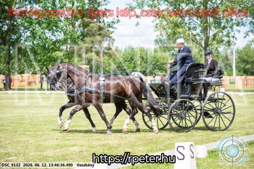 Mintakép 20260612-728