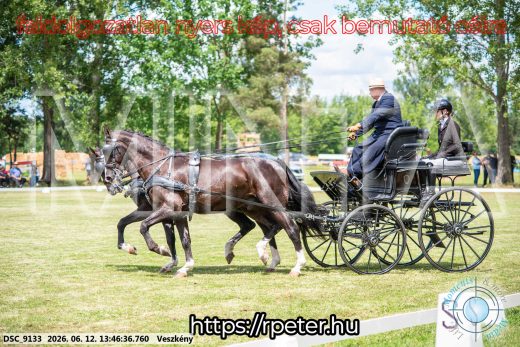 Mintakép 20260612-729