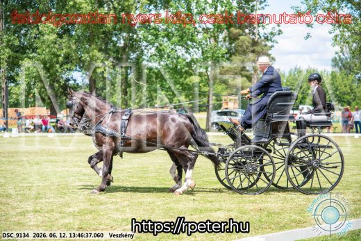 Mintakép 20260612-730