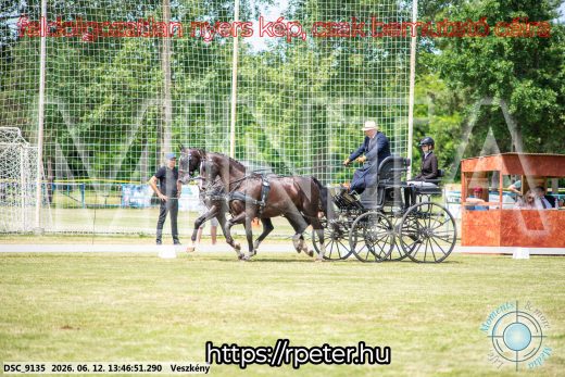 Mintakép 20260612-731