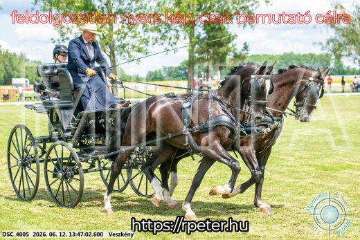 Mintakép 20260612-732