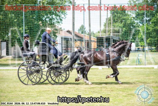 Mintakép 20260612-733
