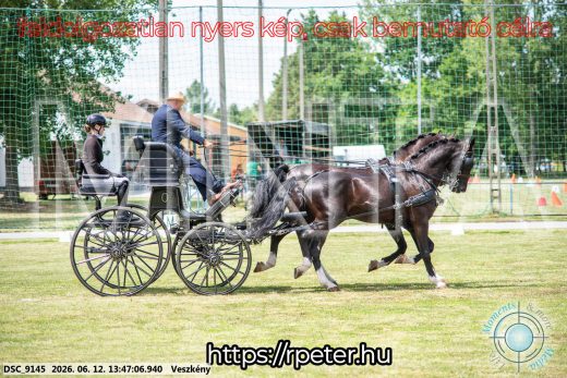 Mintakép 20260612-734