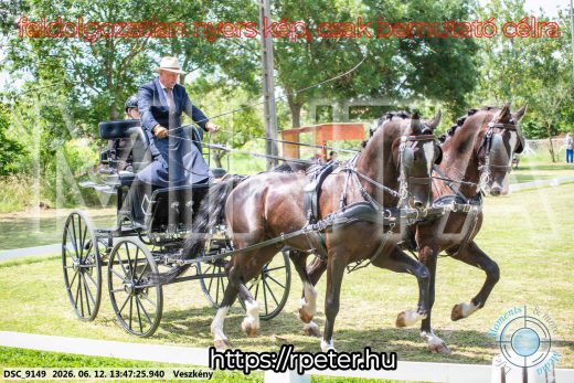 Mintakép 20260612-735