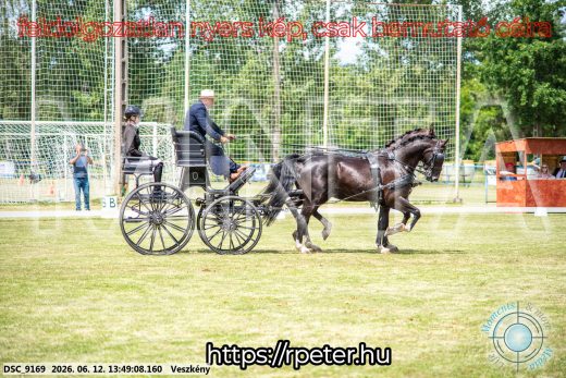 Mintakép 20260612-739