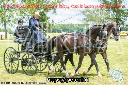 Mintakép 20260612-740