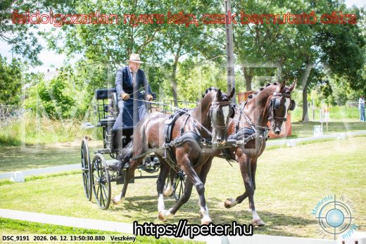Mintakép 20260612-741
