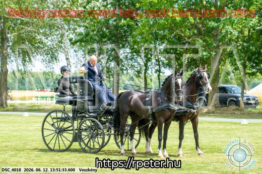 Mintakép 20260612-742