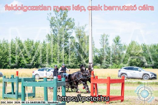 Mintakép 20260613-1380