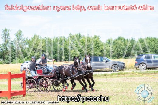 Mintakép 20260613-1385