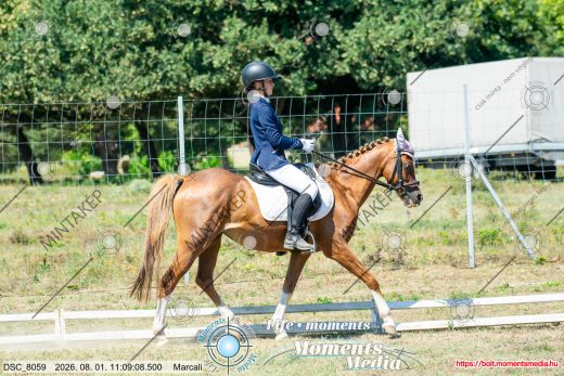 Mintakép 20260801-1562