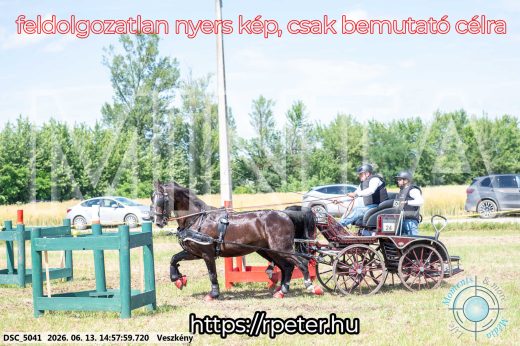 Mintakép 20260613-1387